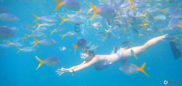 关紫兰：被人遗忘的女画家，她淡泊宁静，与世无争，清醒倔犟